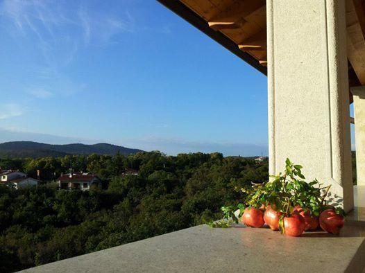 Residence Oliveto Mare Carso Sistiana Ngoại thất bức ảnh